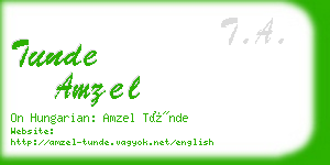 tunde amzel business card
